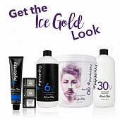 Ice Gold Look