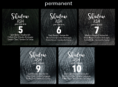 Shadow Ash Permanent Shade Collection