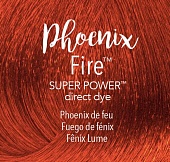 Phoenix Fire™