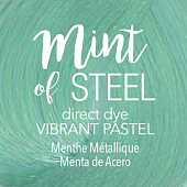 Mint of Steel